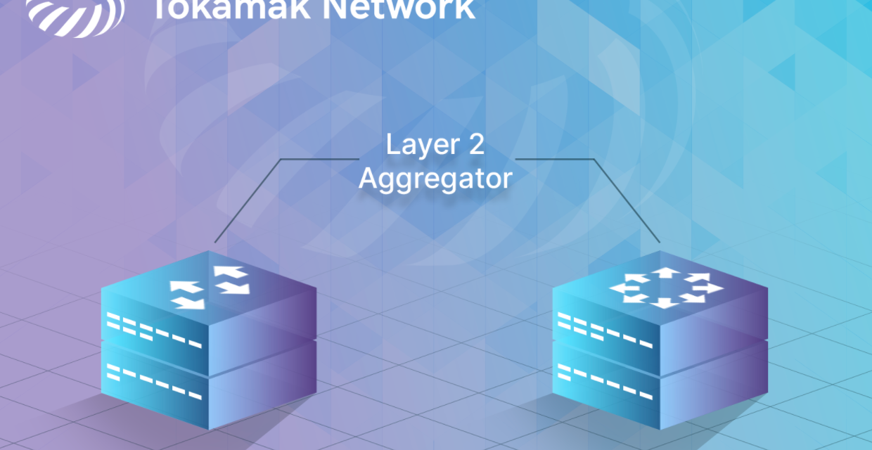 Exploring Tokamak Network – The Market’s First Layer 2 Aggregator